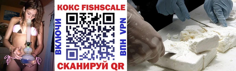 Купить закладки  Лодейное Поле  Cocaine FishScale 