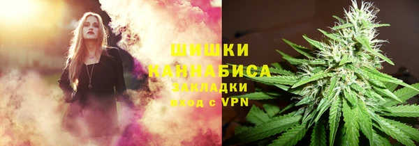 PSILOCYBIN Богородицк