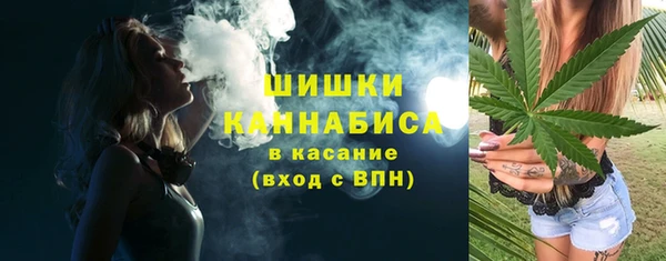 шишки Богородск