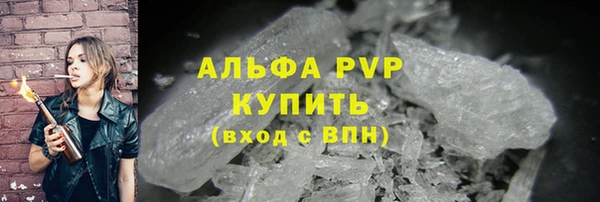 молекула духа Богданович