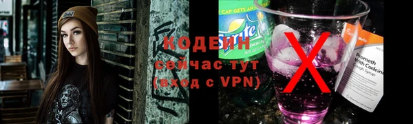 молекула духа Богданович