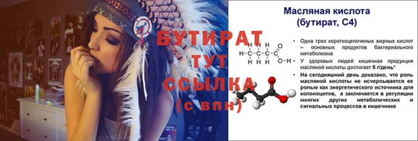 молекула духа Богданович
