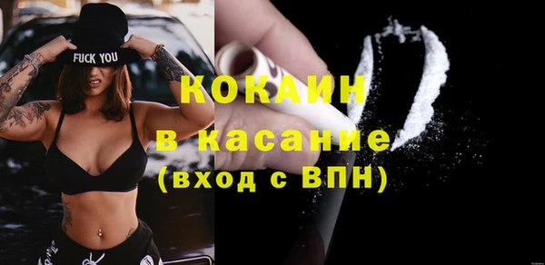 шишки Богородск