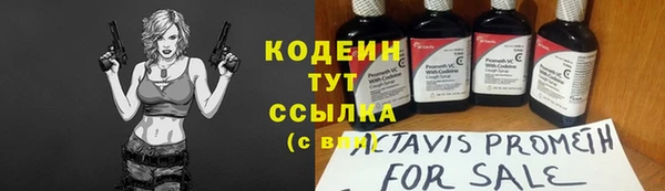молекула духа Богданович