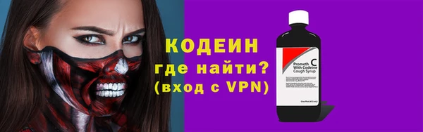 молекула духа Богданович