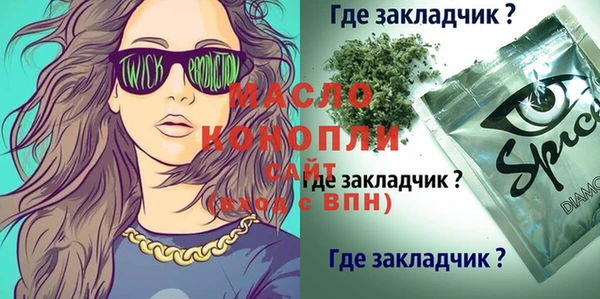молекула духа Богданович