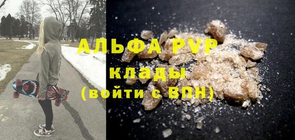 молекула духа Богданович