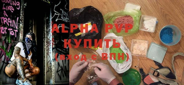 молекула духа Богданович