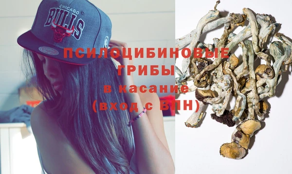 молекула духа Богданович