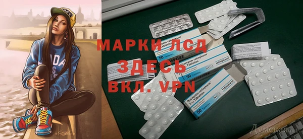 шишки Богородск