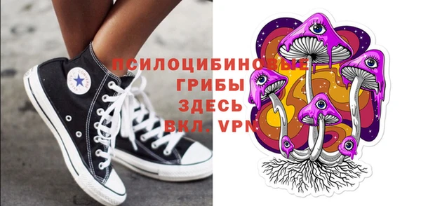 PSILOCYBIN Богородицк