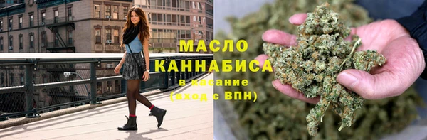 молекула духа Богданович