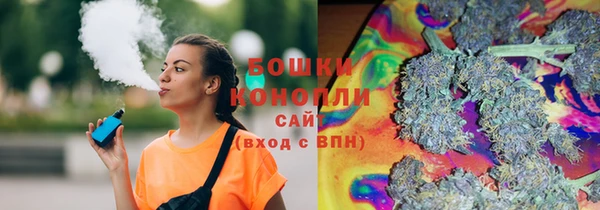 шишки Богородск