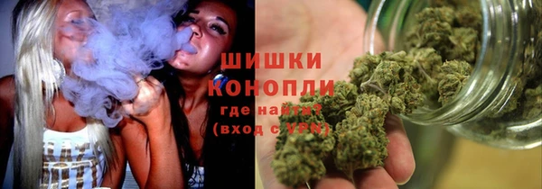 PSILOCYBIN Богородицк